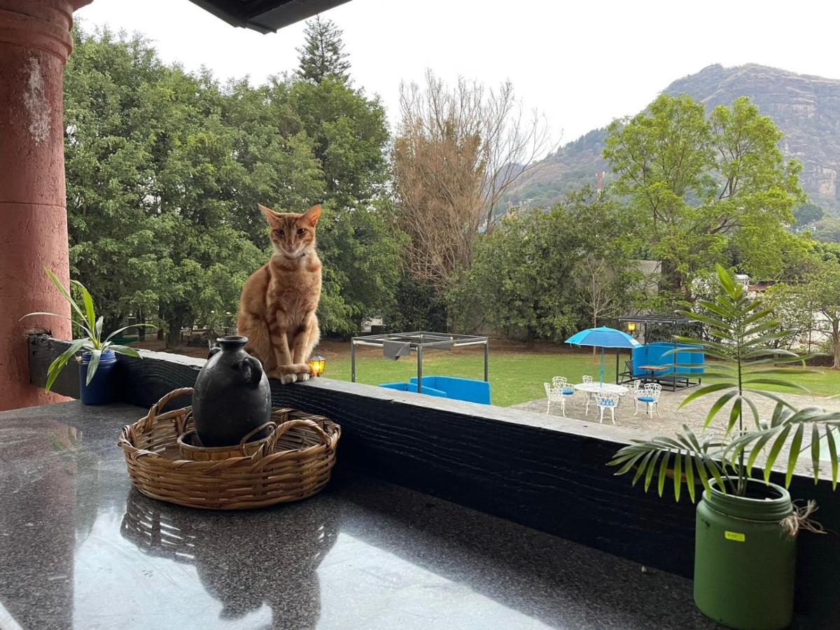 Los Cruxes Sam Paz Tepoztlán Dış mekan fotoğraf
